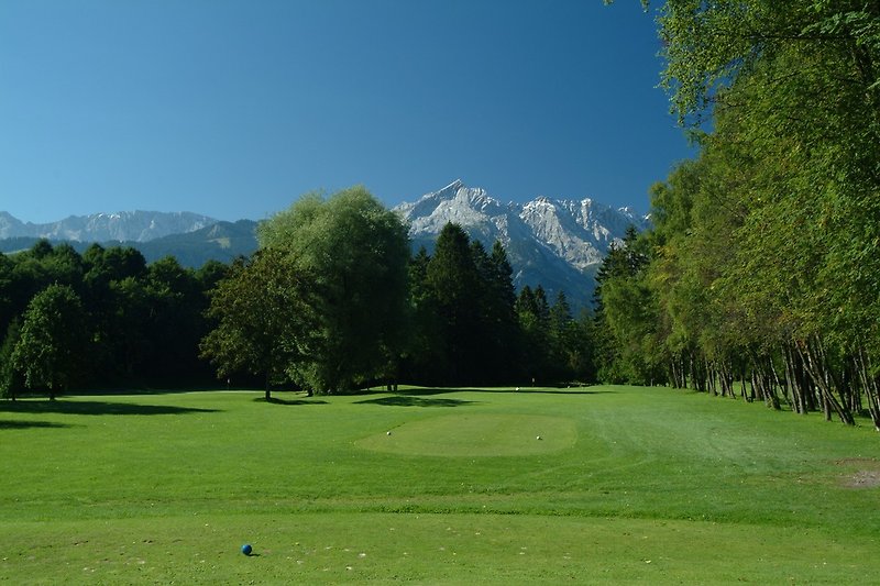 Golfplatz mit Blick Alpspitze