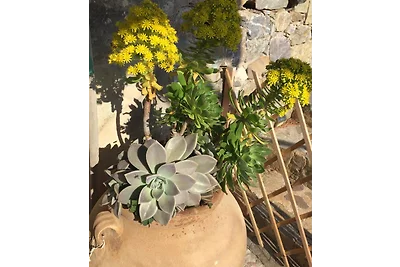 Appartamento Villa Rosa