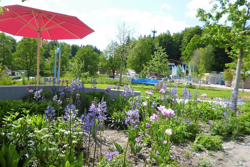 Besuchen Sie die Landesgartenschau Freyung bis 03.10.2023