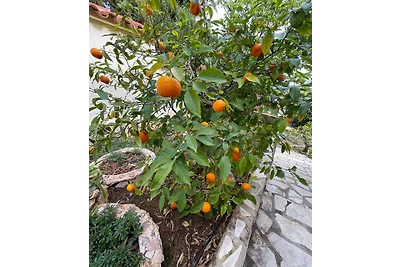 Casa Primavera