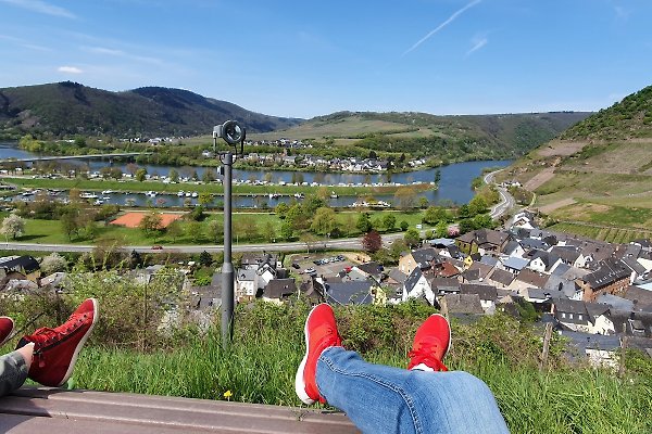 Ferienwohnung Meisenheim