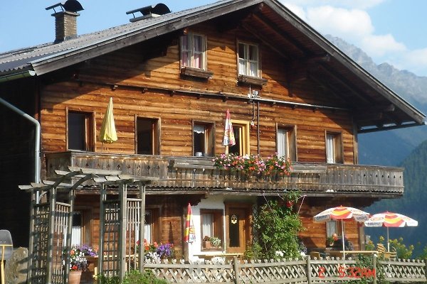Ferienhaus 