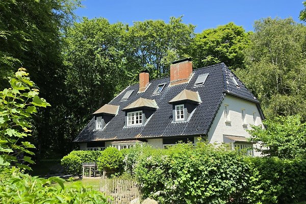 Ferienhaus Wyk
