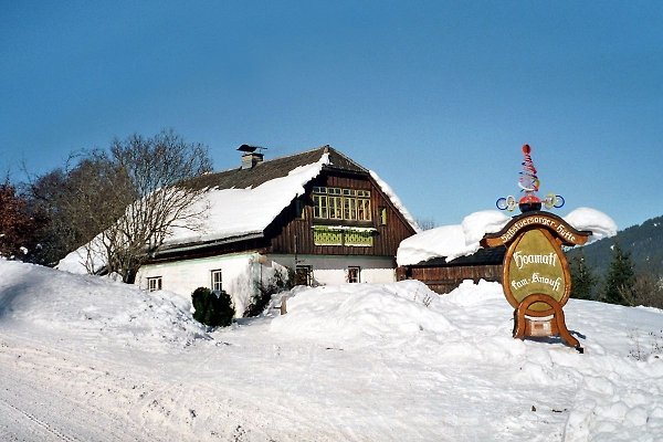 Ferienhaus Schladming