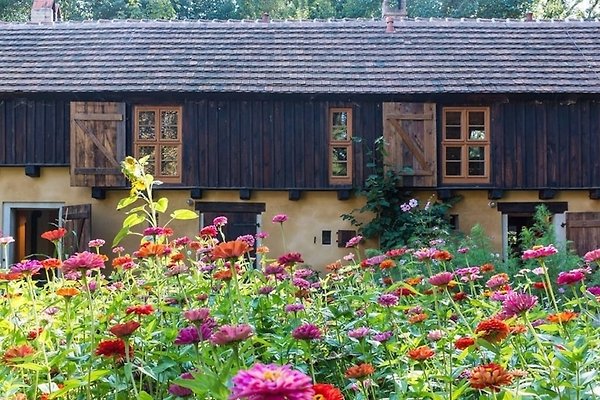 Ferienwohnung Nuthe-Urstromtal