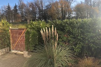 Deichblick 1 2-0-04