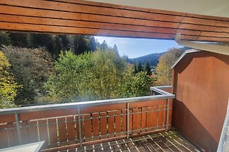 Vakantieappartement Gezinsvakantie Todtmoos