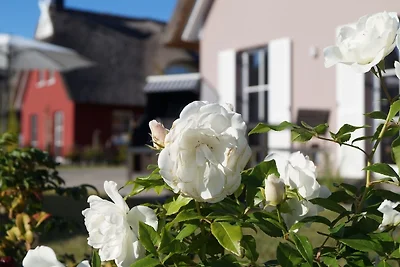 Reethaus "De Likedeeler"