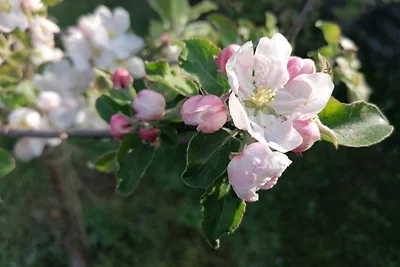 Casa vacanze Vacanza di relax Bautzen