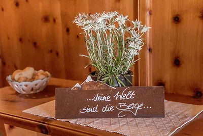 Holiday flat family holiday St. Johann in Tirol