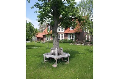 Stille hoeren