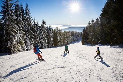 Vakantieappartement Gezinsvakantie Falkau