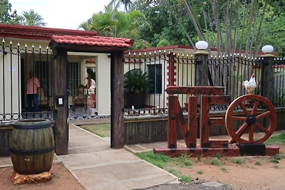 Finca Neo Appartement 2