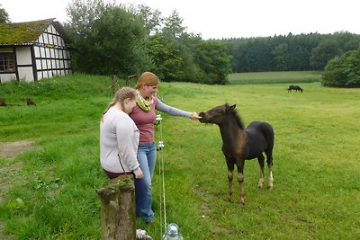 Ferienhof Frohne - Im Kaustall