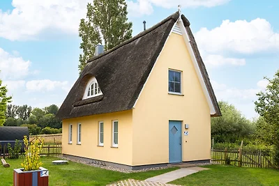 A 12 Premium Reethaus Elster mit