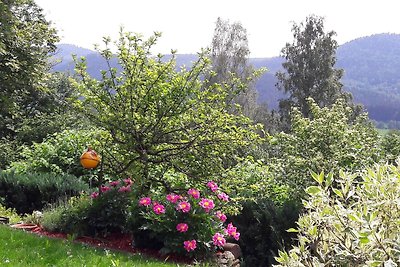 Ferienwohnung Panoramablick 1