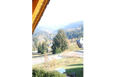 Vakantieappartement Gezinsvakantie Feldberg