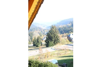 Appartamento Vacanza con famiglia Feldberg