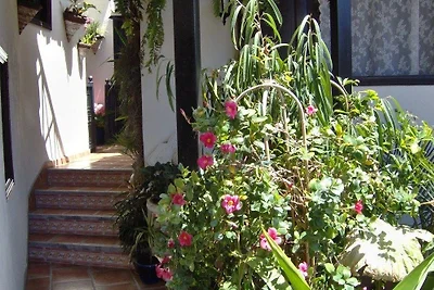 Apartamentos Monasterio de San