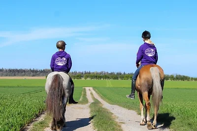 "Ferienhof Seelust" Reihenhaus 7