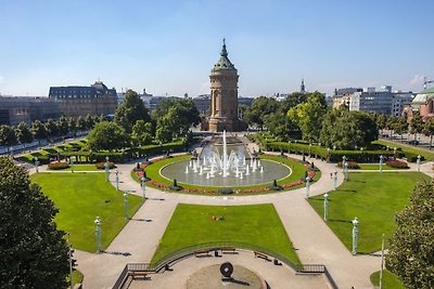 Schönes kleines Apartment direkt