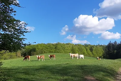 Vakantiehuis Ontspannende vakantie Brekendorf