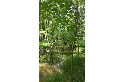 Fewo Seenlandschaft