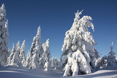 Appartamento Vacanza con famiglia Sehmatal