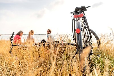 Vakantiehuis Ontspannende vakantie Damp