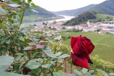 Vakantieappartement Gezinsvakantie Eisenberg