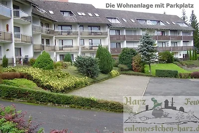 Fewo Eulennestchen-Harz L.2 für