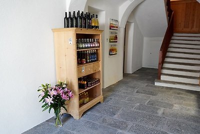 Vakantieappartement Gezinsvakantie Scuol Unterengadin