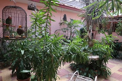 Casa Matos Appartement 1