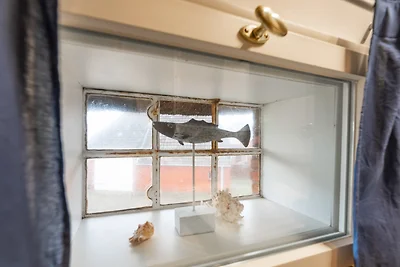 Landhaus am Meer - Whg. 6 Föhrer