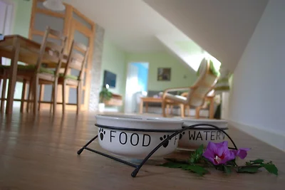 Ferienwohnung Lütt Gammelby