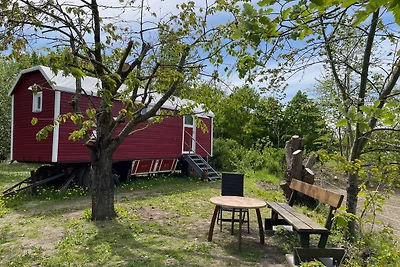 Zirkuswagen auf dem Lämmerhof