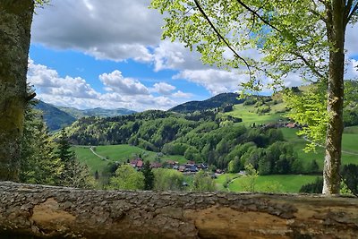 Vakantieappartement Gezinsvakantie Schönenberg