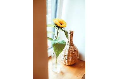 Appartamento Vacanza con famiglia Hagermarsch