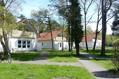 Vakantieappartement Gezinsvakantie Prerow