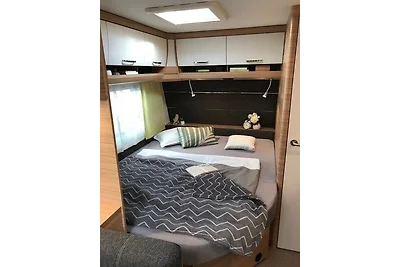 Camper Lodge CL3