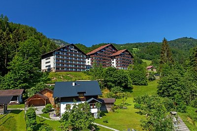 Appartement Krippenstein mit Indoor