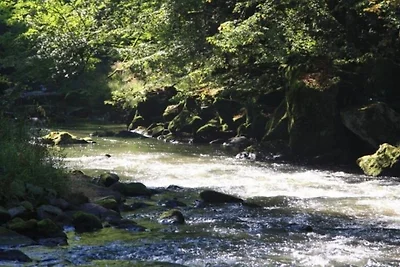 4 Sterne Ferienwohnung Rosengarten