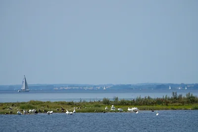 Casa vacanze Vacanza di relax Nieby