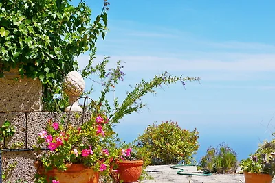 Casa Rosa, Arico Viejo/ La Sabinita