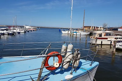 Barth-Tor zum Darss-Zingst B