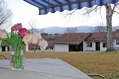 Ferienhaus Nr. 66, Kategorie