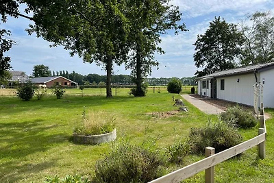 Vakantiehuis Ontspannende vakantie Azewijn