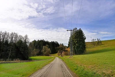 Appartamento Vacanza con famiglia Neukirch