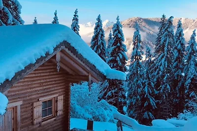Almhütte in sonniger Alleinlage