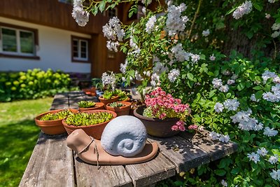 Vakantieappartement Gezinsvakantie Lörrach